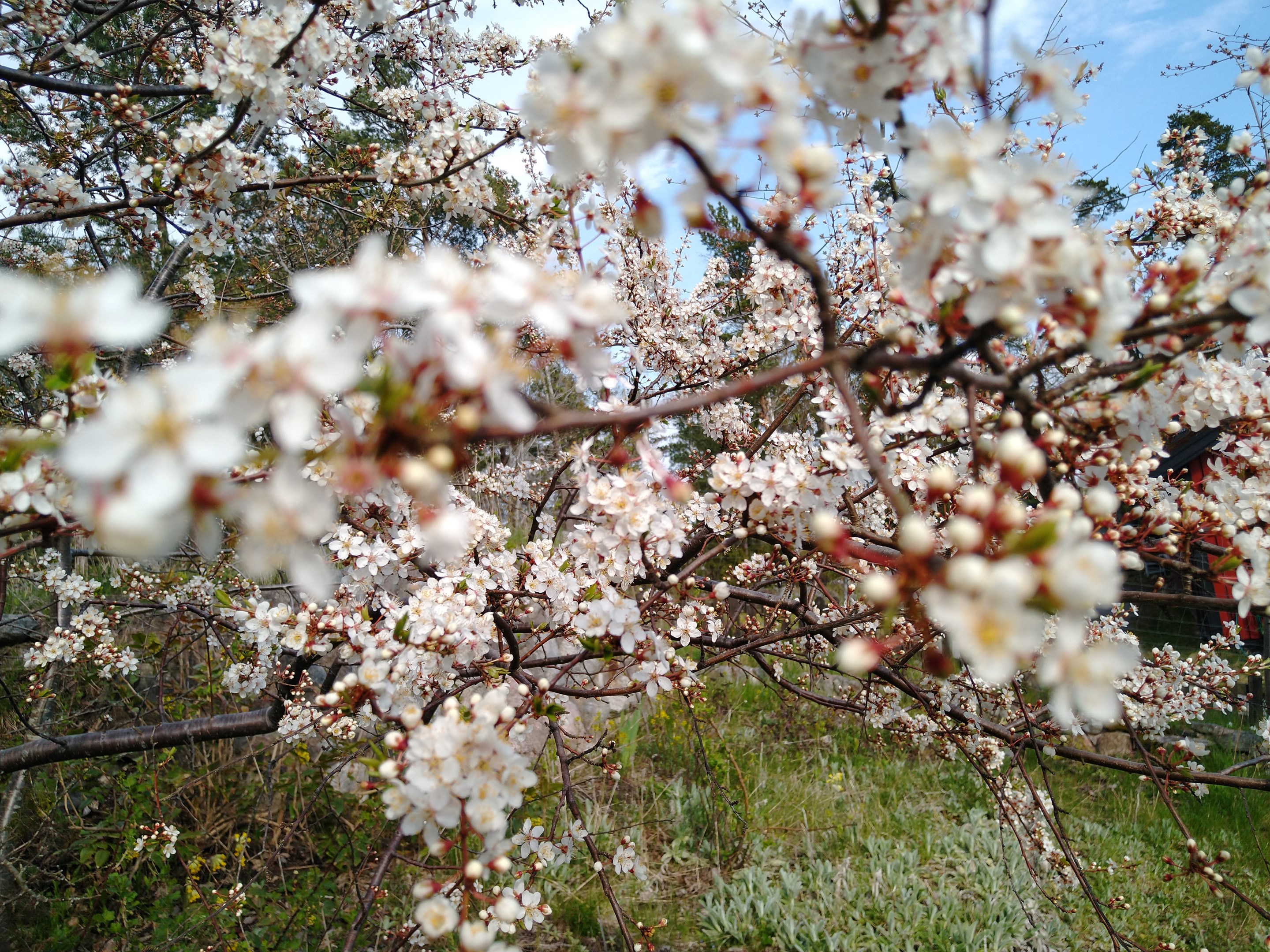 Bostadsbild från Tranarövägen 89, Kommande i Ingarö - Tranarö, Värmdö