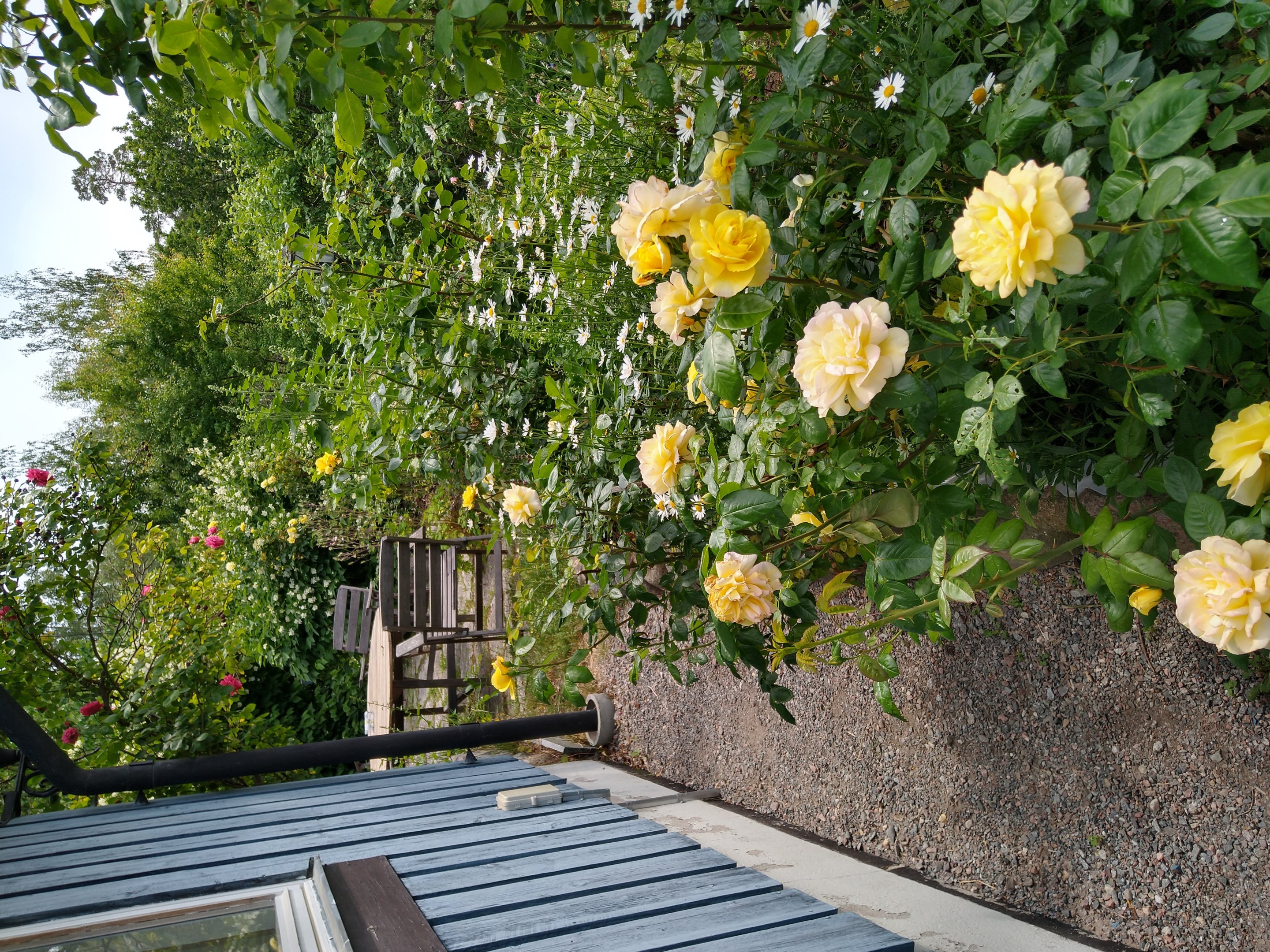 Bostadsbild från Tranarövägen 89, Kommande i Ingarö - Tranarö, Värmdö