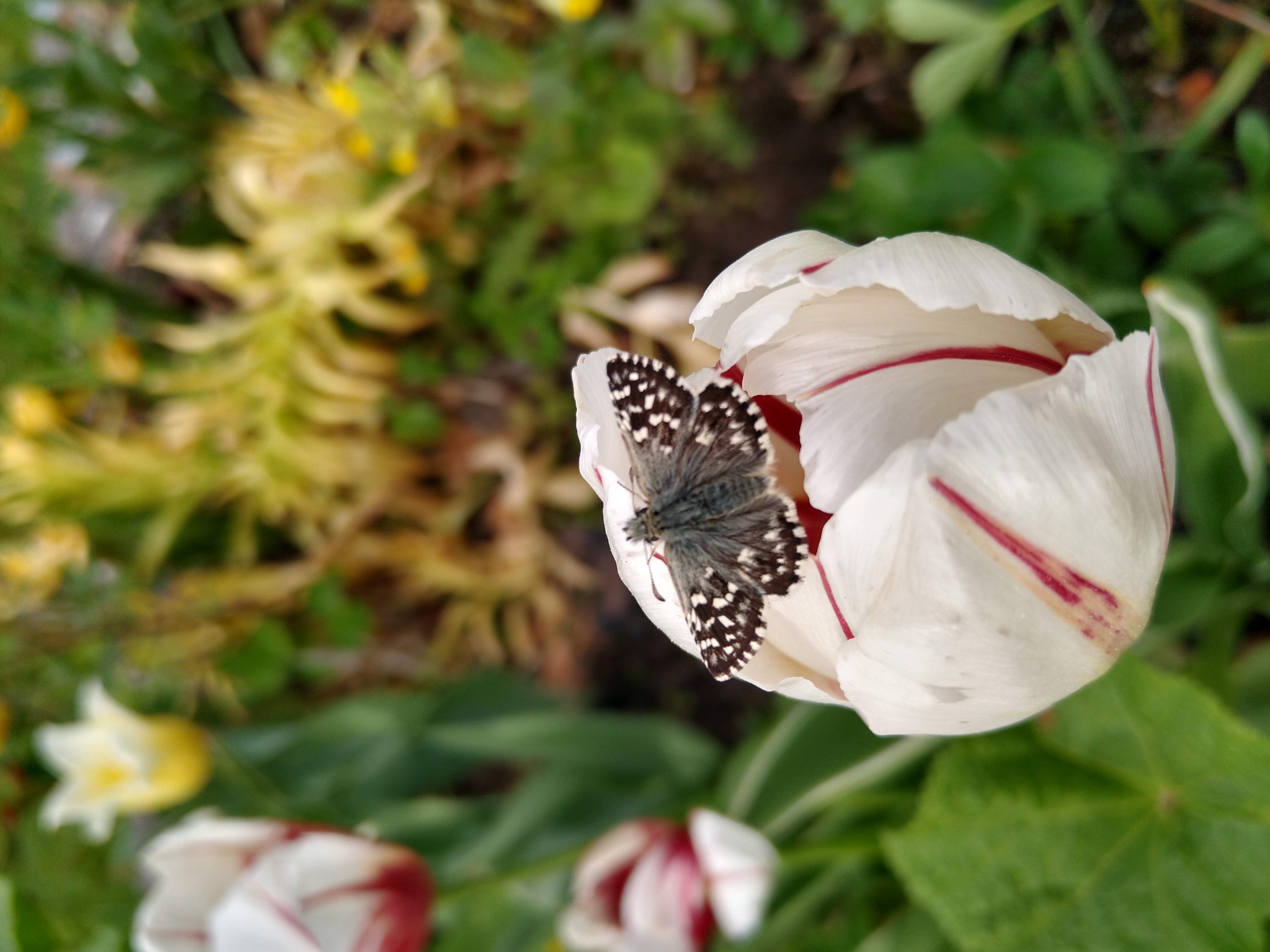Bostadsbild från Tranarövägen 89, Kommande i Ingarö - Tranarö, Värmdö