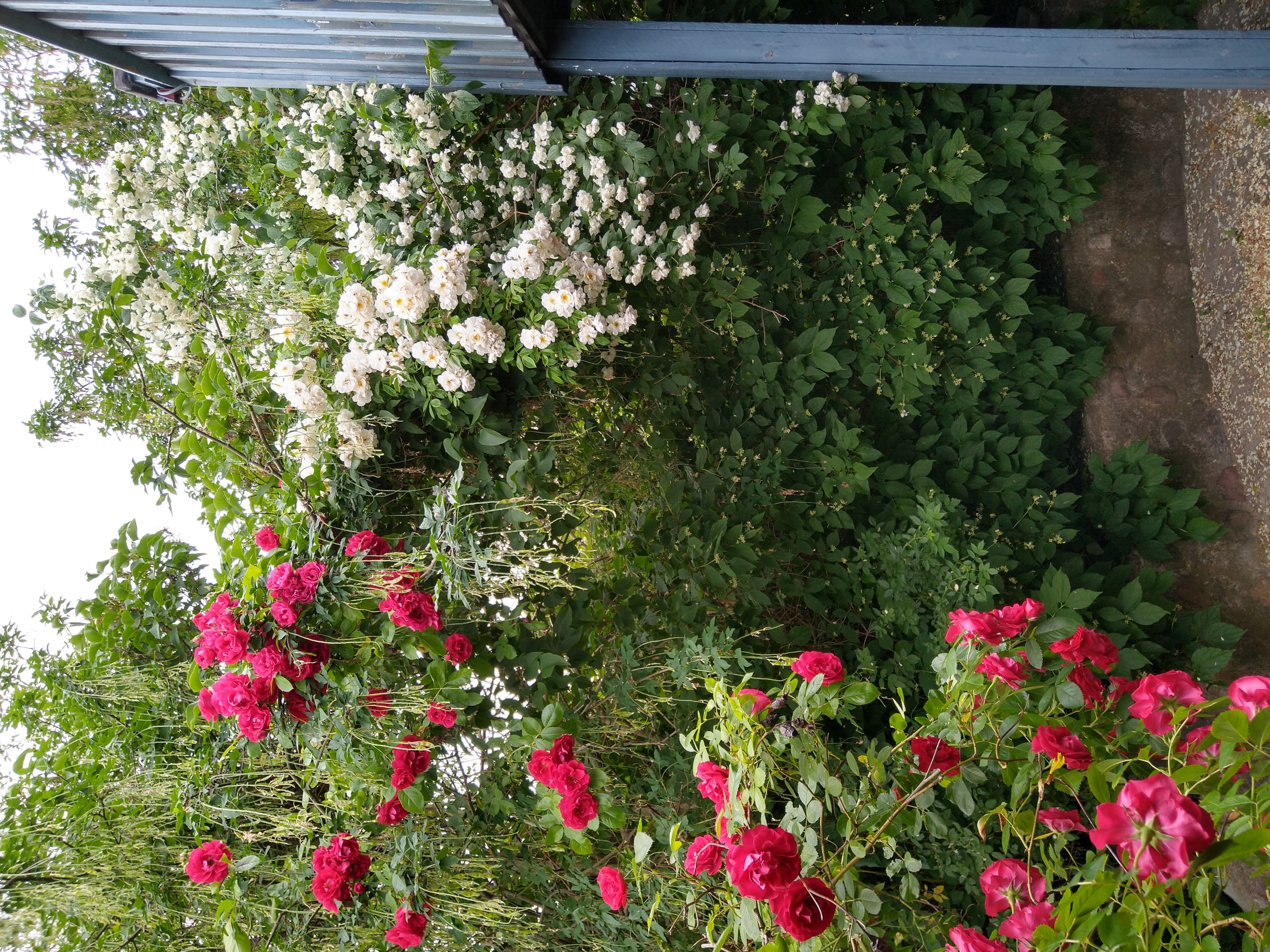 Bostadsbild från Tranarövägen 89, Kommande i Ingarö - Tranarö, Värmdö