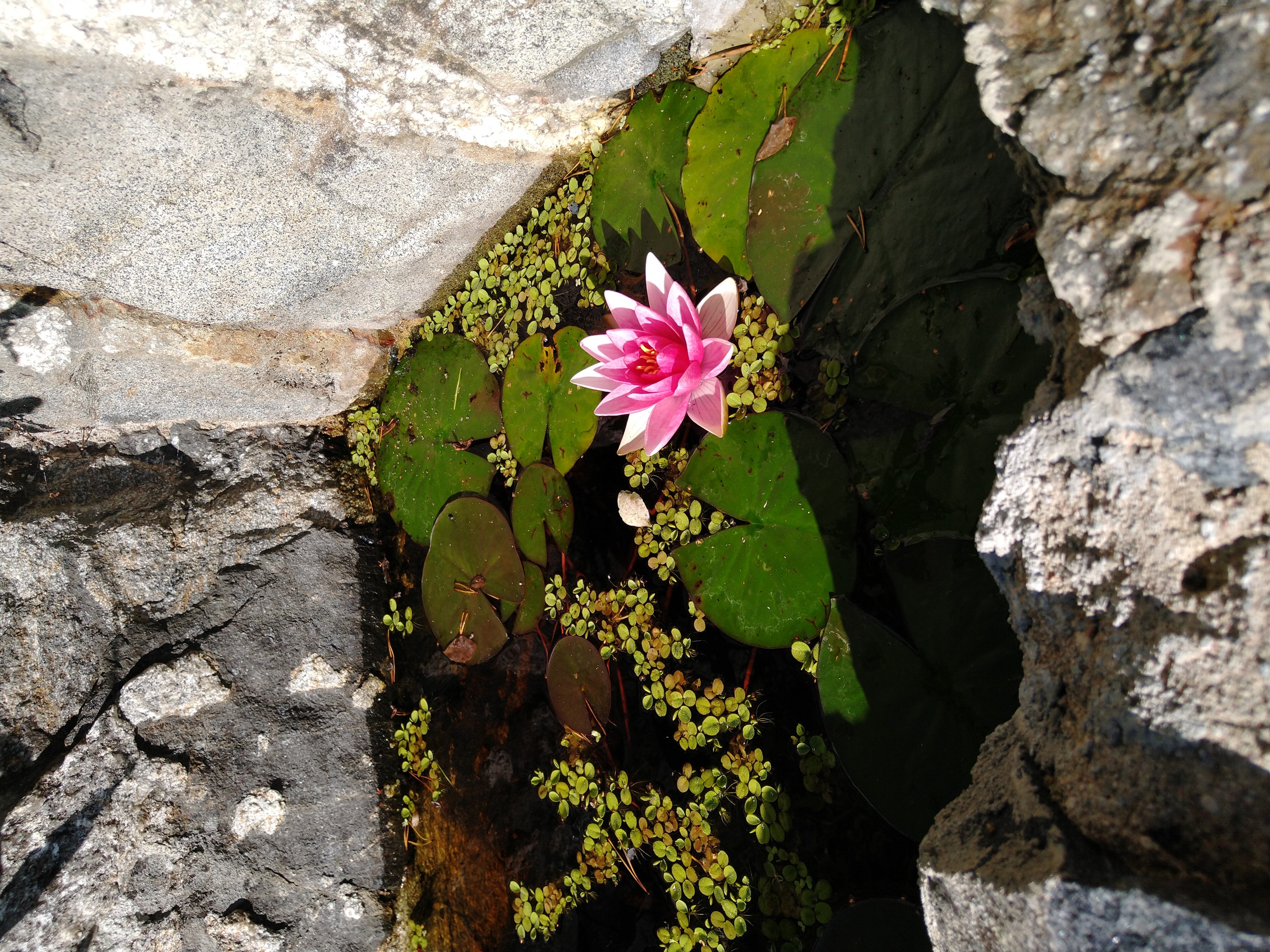 Bostadsbild från Tranarövägen 89, Kommande i Ingarö - Tranarö, Värmdö