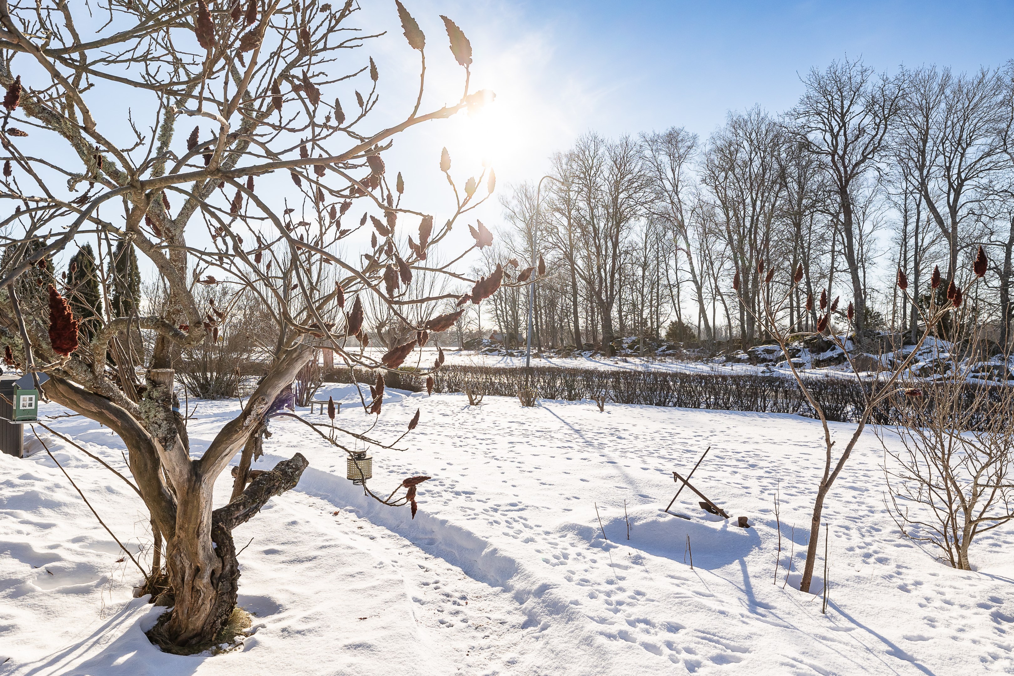 Bostadsbild från Isgrena 21, Kommande i Bälinge, Uppsala