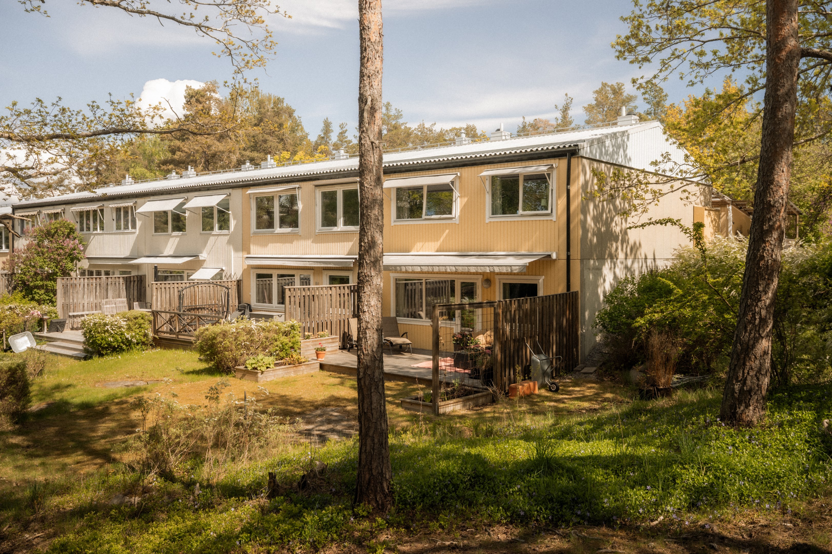 Rofyllda omgivningar där barnen leker fritt mellan husen