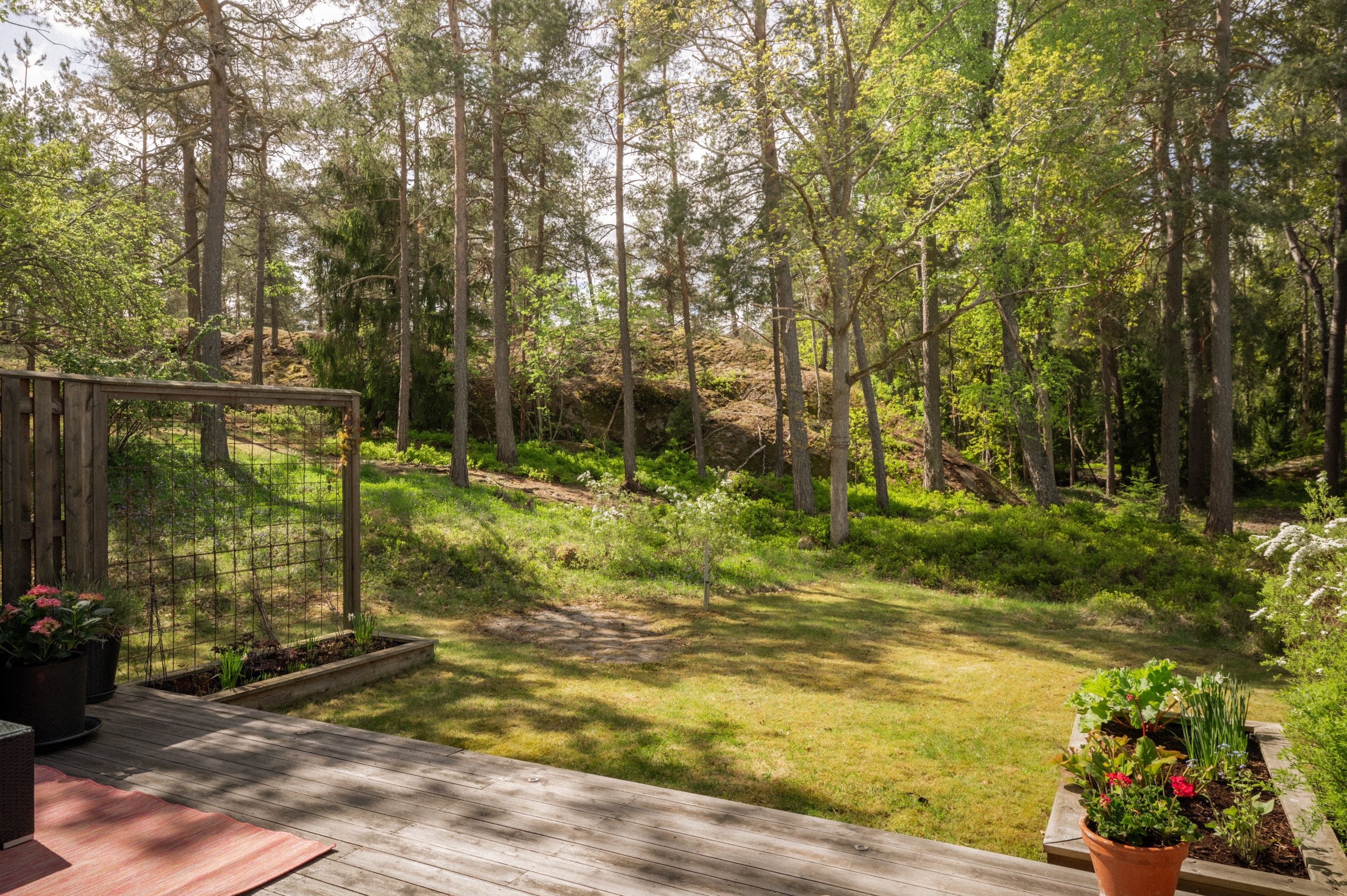 Rofyllt västerläge med utblick över naturen