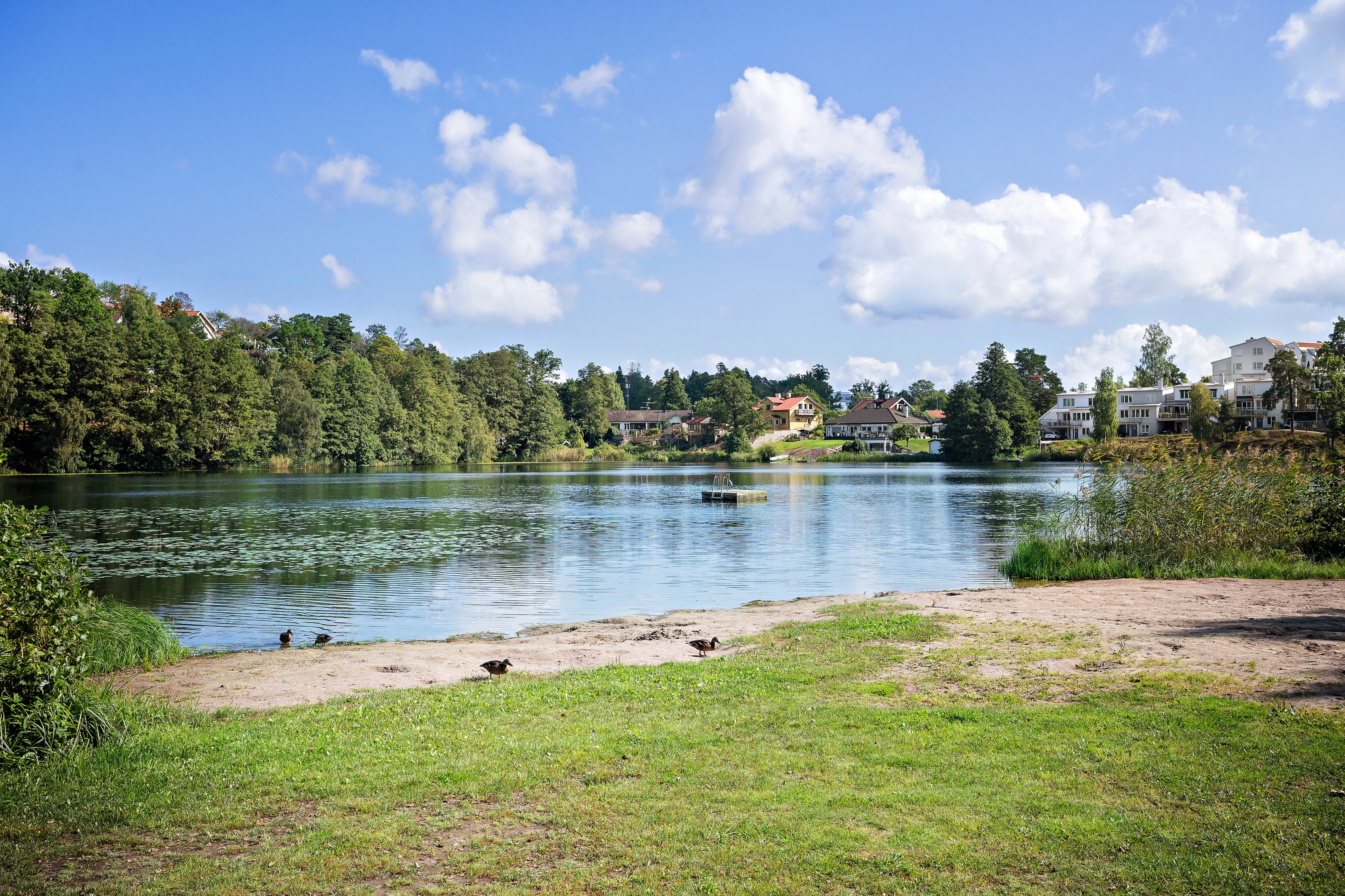 Badplats Bastusjön