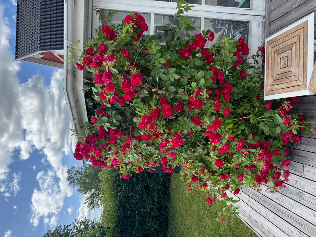 Bostadsbild från Frejs väg 15 B, Kommande i Gamla Uppsala, Uppsala