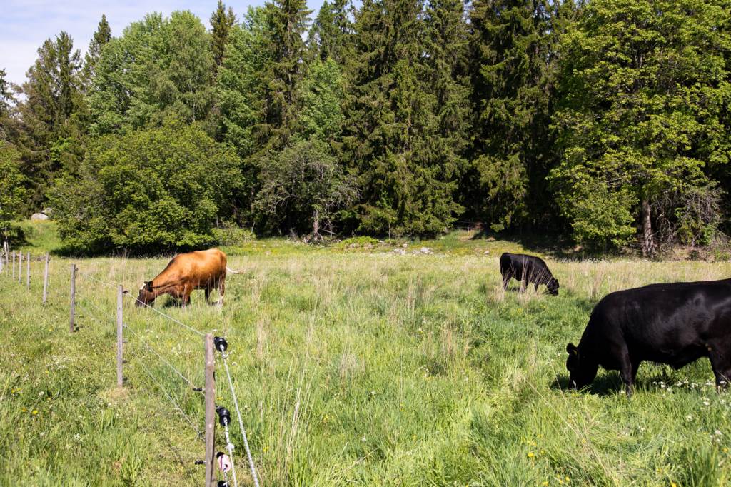 Bostadsbild från Romstarbo 214, Till salu i Örbyhus, Tierp