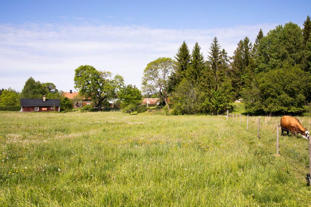 Bostadsbild från Romstarbo 214, Till salu i Örbyhus, Tierp