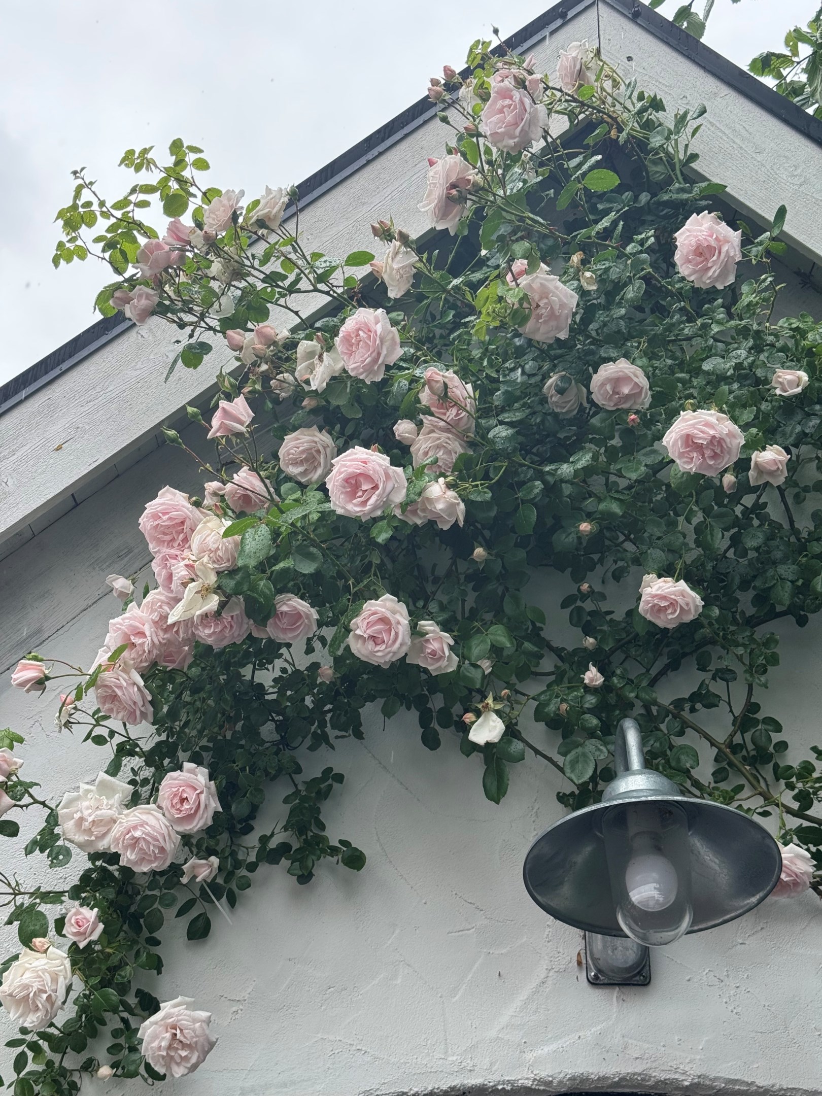 Bostadsbild från Dalby-Viggeby 110, Kommande i Dalby, Uppsala