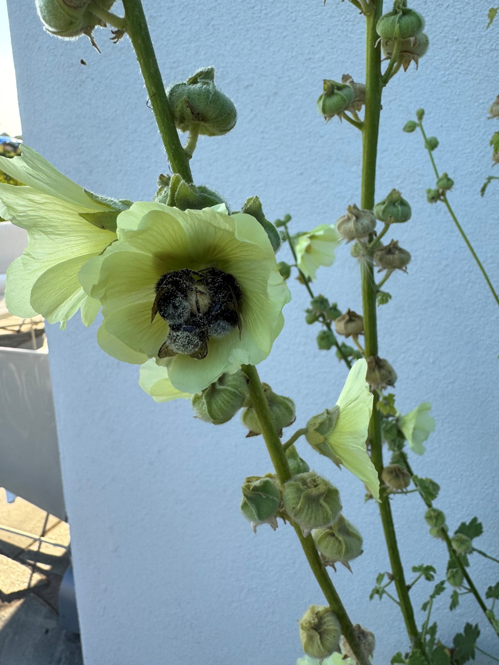 Bostadsbild från Dalby-Viggeby 110, Kommande i Dalby, Uppsala