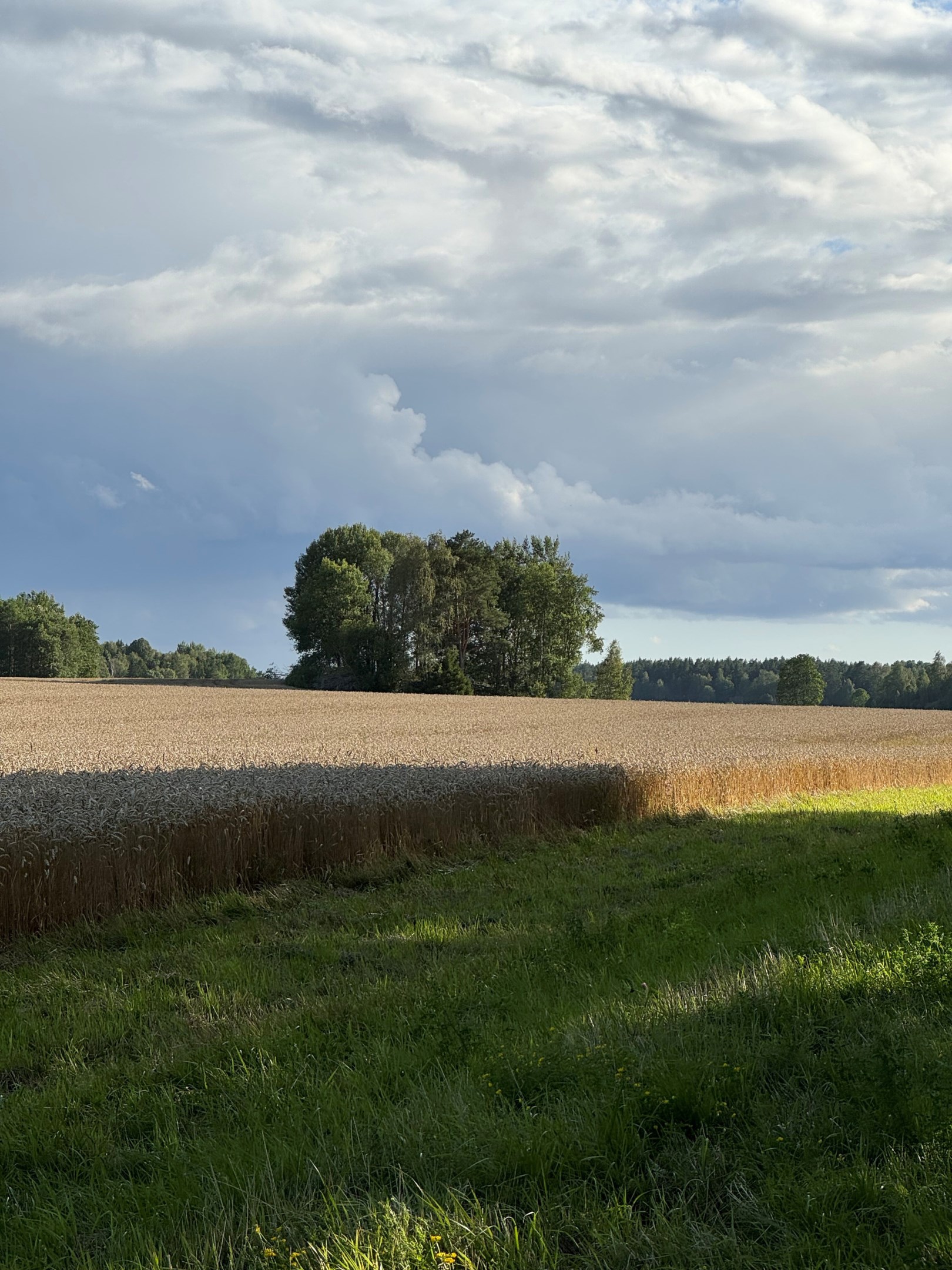 Bostadsbild från Dalby-Viggeby 110, Kommande i Dalby, Uppsala