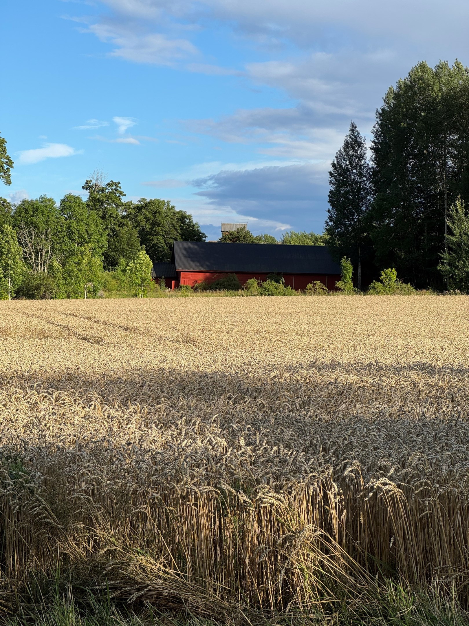 Bostadsbild från Dalby-Viggeby 110, Kommande i Dalby, Uppsala