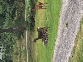 Bostadsbild från Hinsaringen 31, Kommande i Evlinge, Värmdö