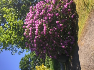 Bostadsbild från Hinsaringen 31, Kommande i Evlinge, Värmdö