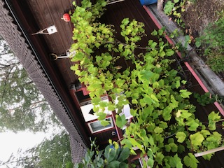 Bostadsbild från Hinsaringen 31, Kommande i Evlinge, Värmdö