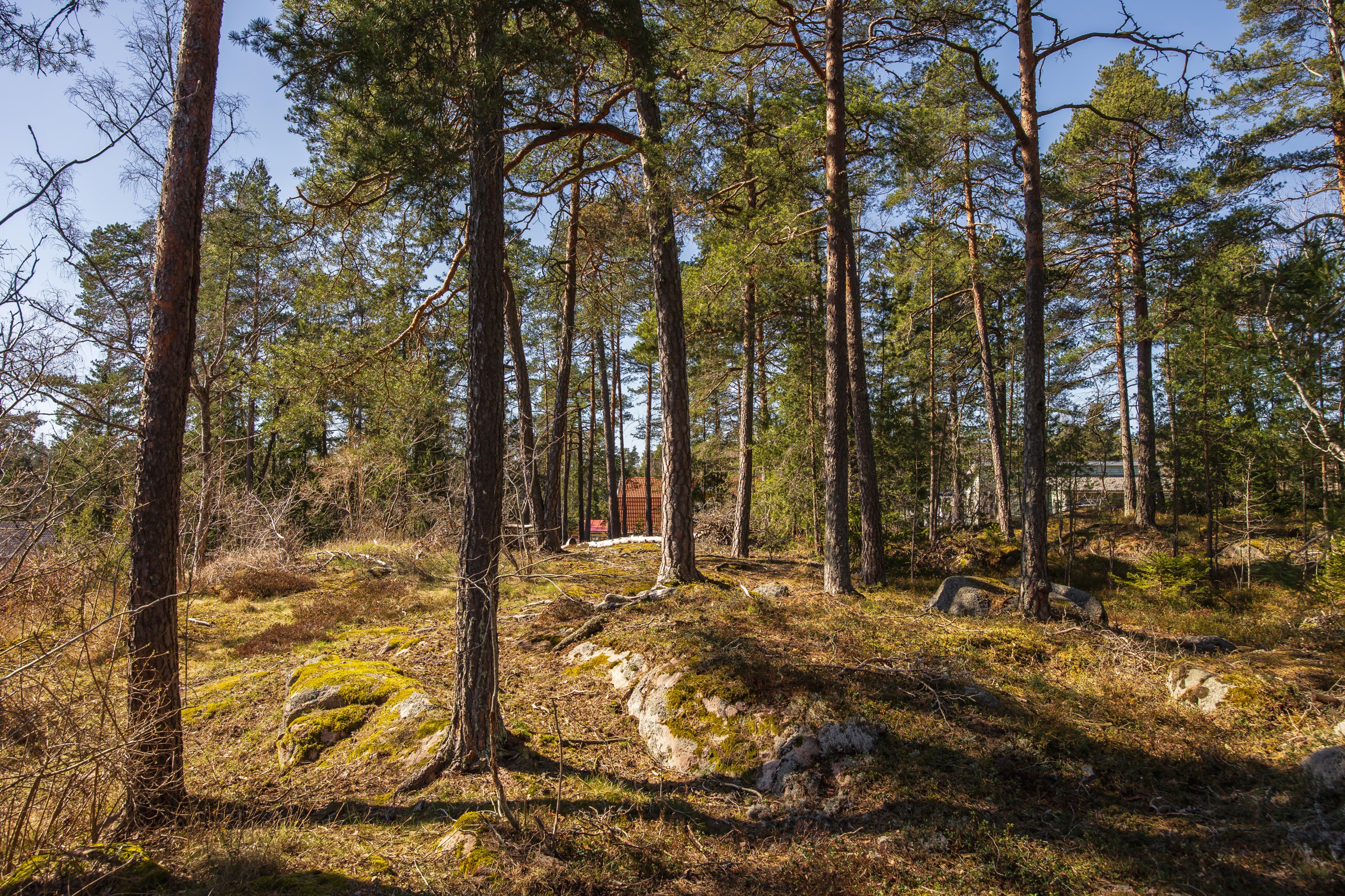 Bostadsbild från Runskogsvägen 17, Kommande i Vaxmora, Sollentuna