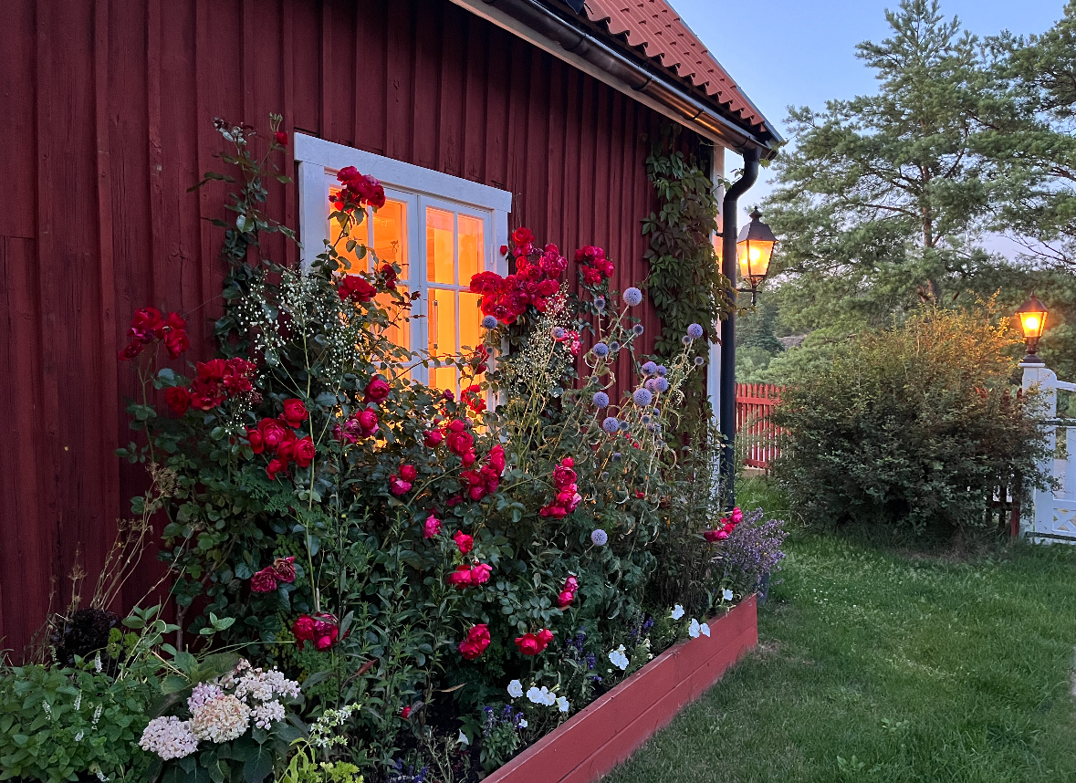 Säljarens egna bild