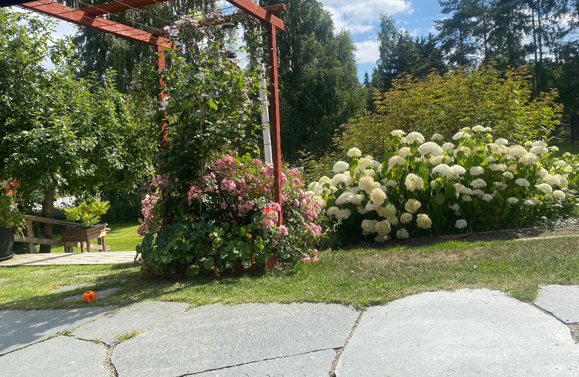 Säljarens egna bild