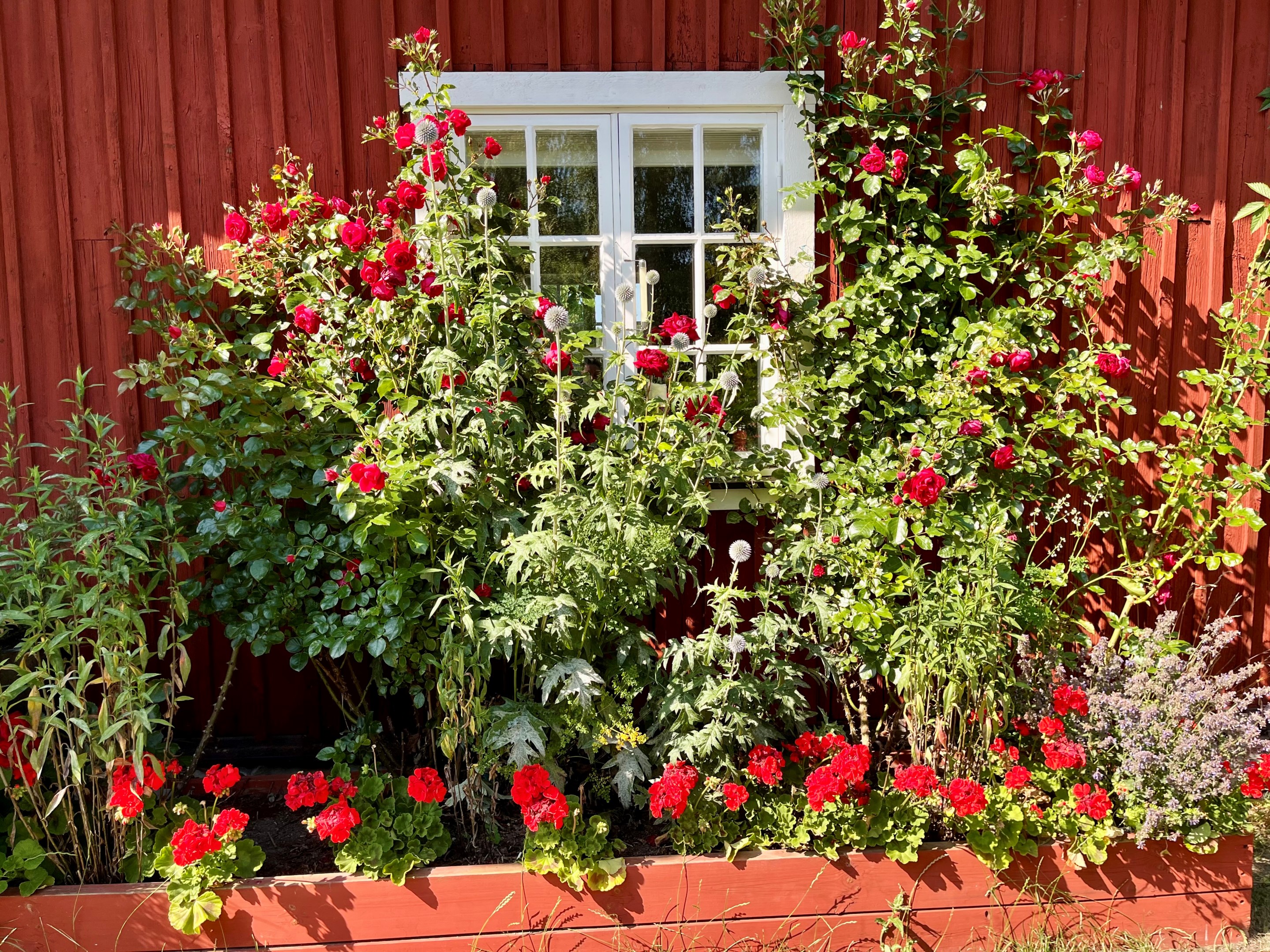 Säljarens egna bild