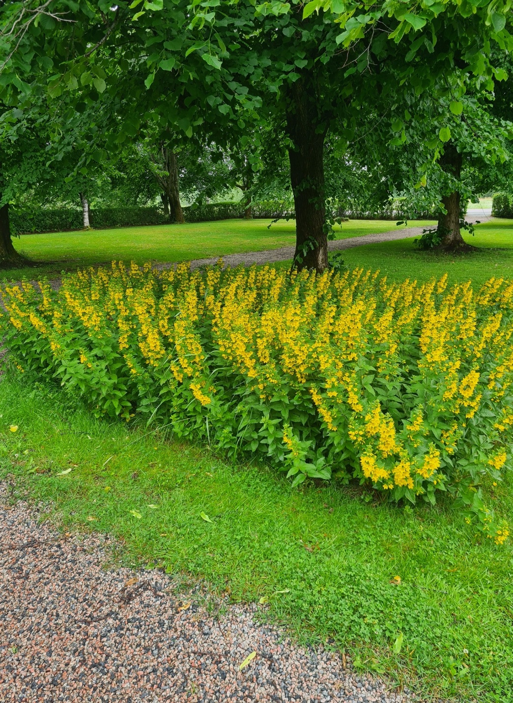 Bostadsbild från Gamla landsvägen 107, Till salu i Vittinge, Heby