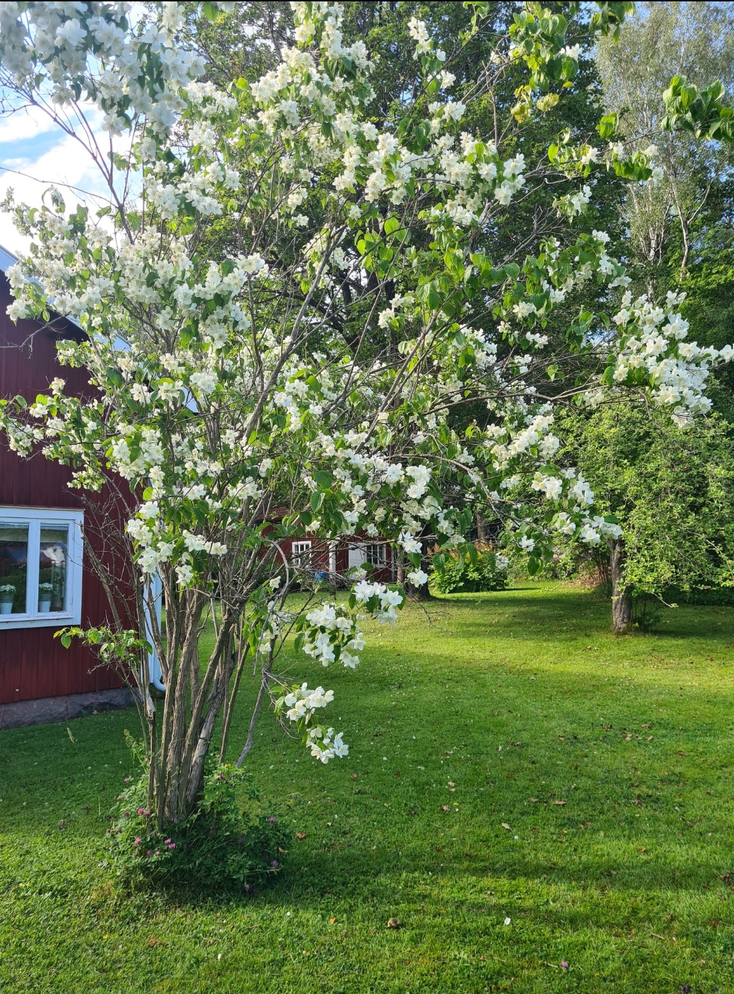 Bostadsbild från Gamla landsvägen 107, Till salu i Vittinge, Heby