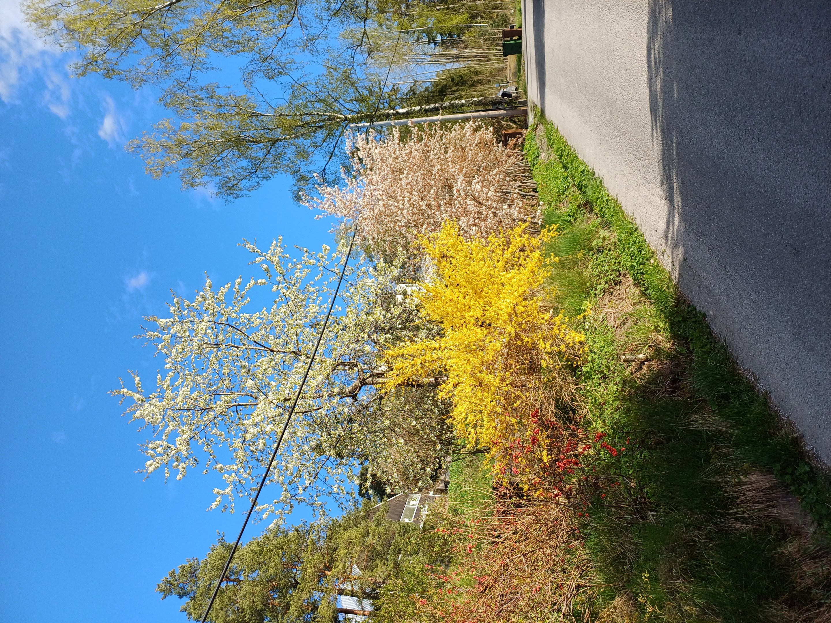 Säljarnas sommarbild