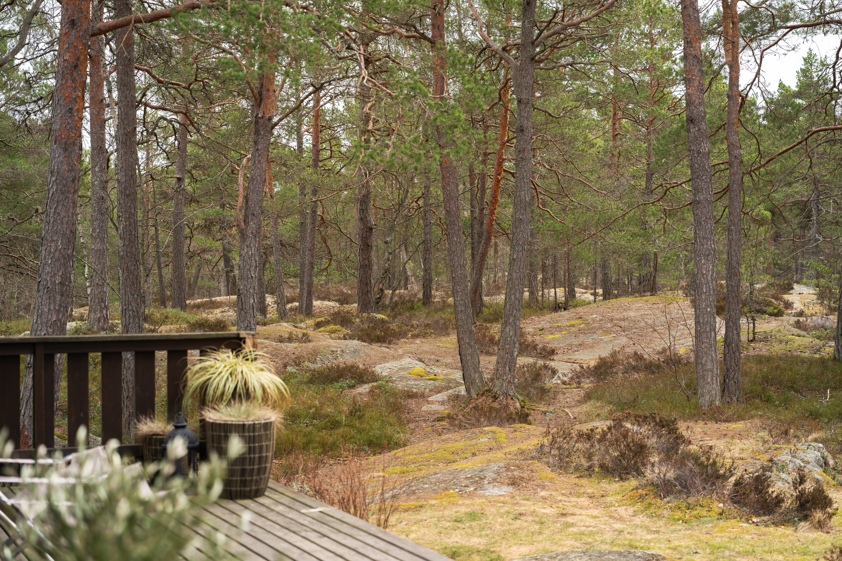 Bostadsbild från Skärmaröstrand 38, Kommande i Skärmarö, Värmdö