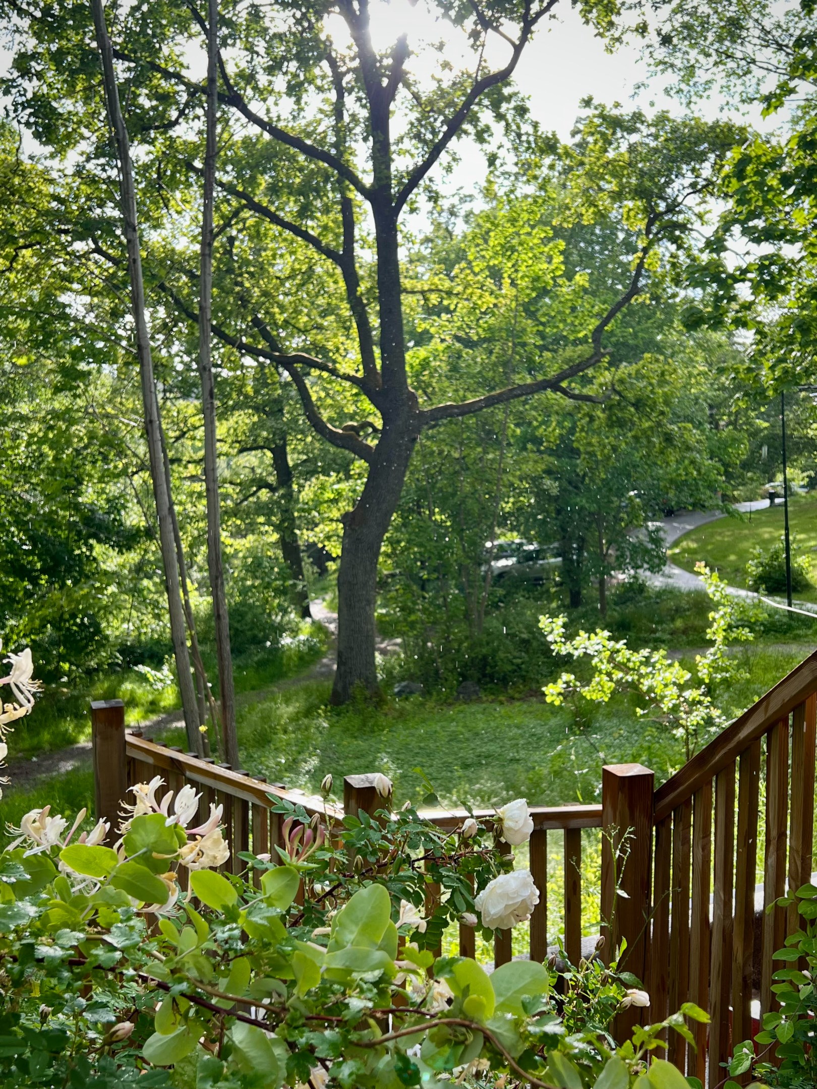 Bostadsbild från Tvärvägen 1, Kommande i Gustavsberg - Höjdhagen, Värmdö