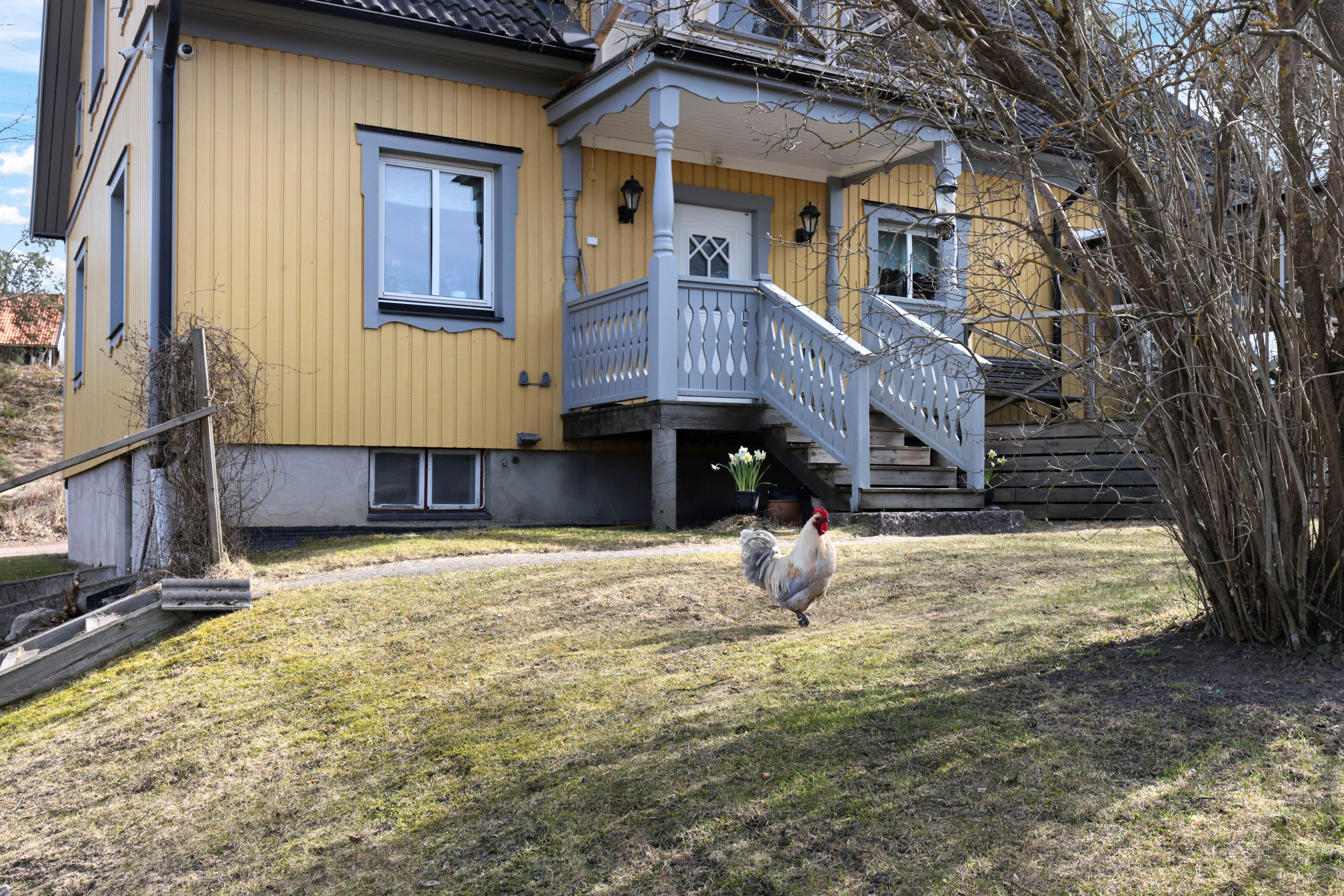Bostadsbild från Sydingösby 103, Kommande i Alunda, Östhammar