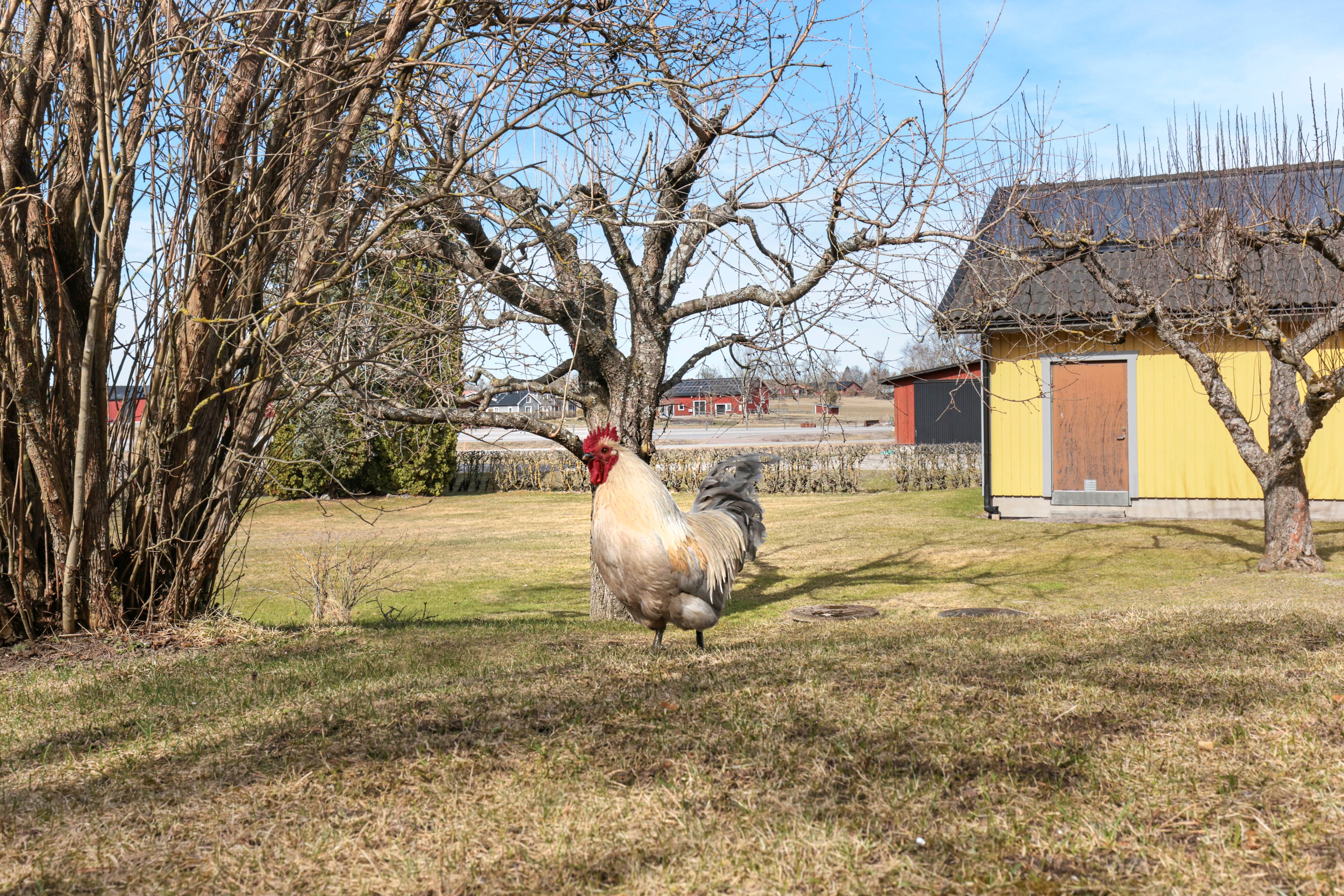 Bostadsbild från Sydingösby 103, Kommande i Alunda, Östhammar