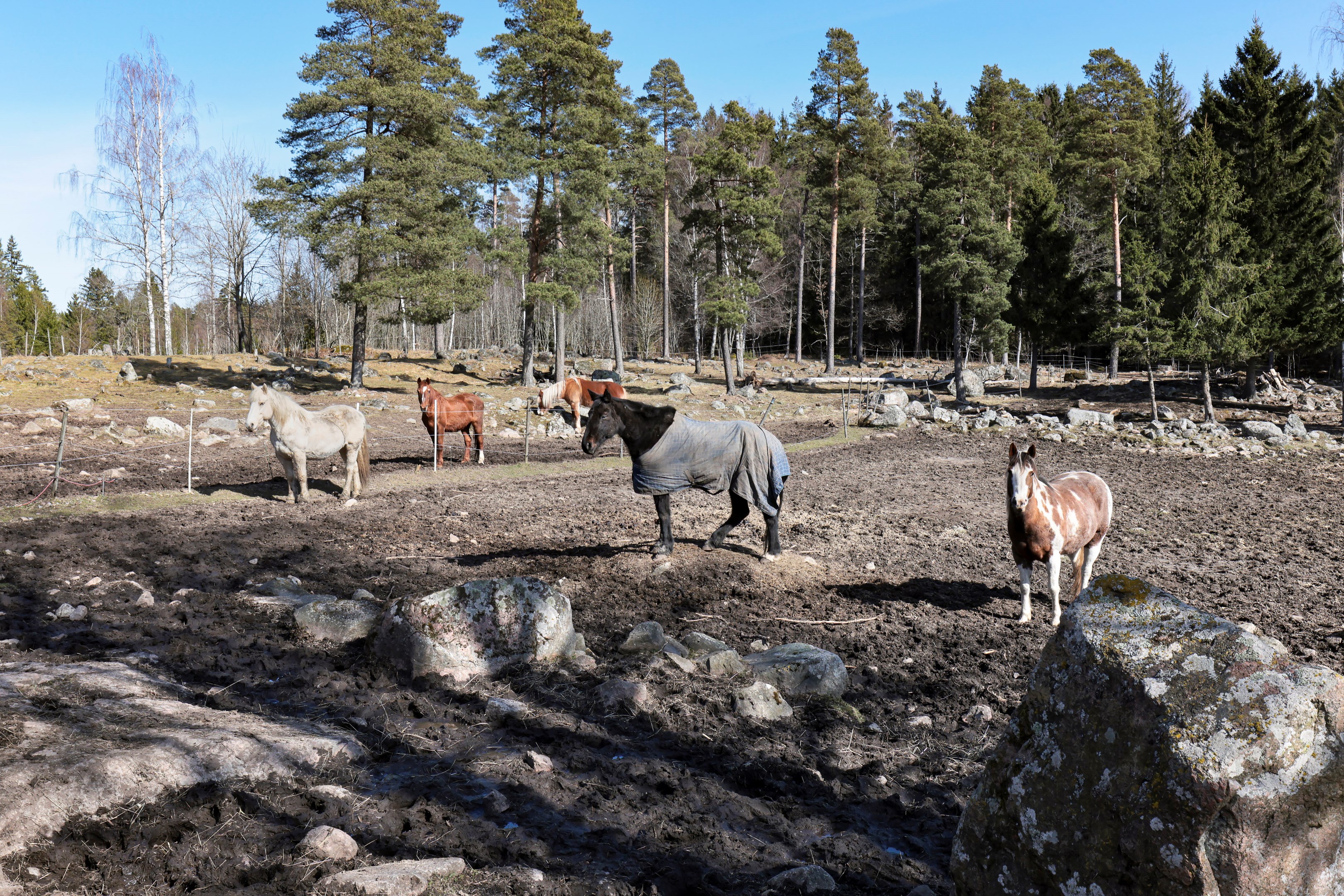 Bostadsbild från Sydinge 130, Kommande i Alunda, Östhammar