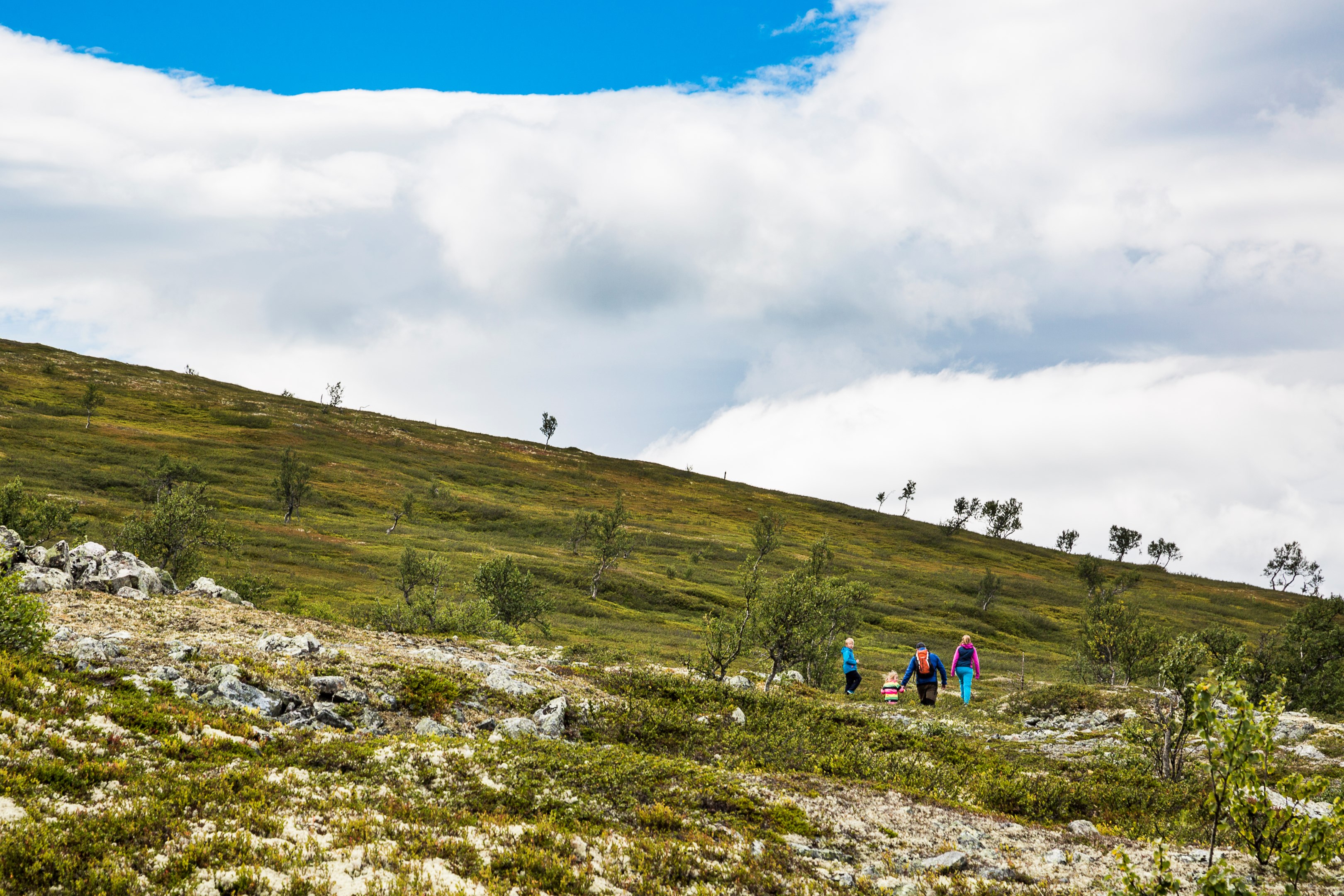 Bild från Destination Lofsdalen
