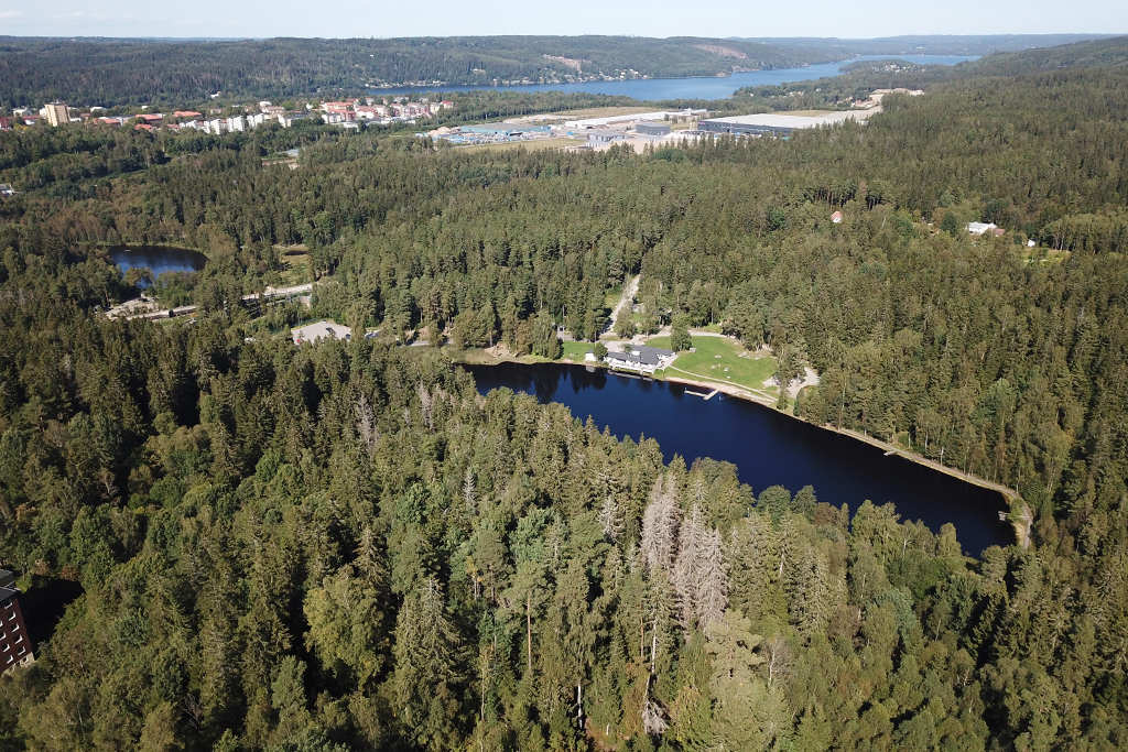 Ett stenkast från Kypesjön med elljusspår och friluftsliv