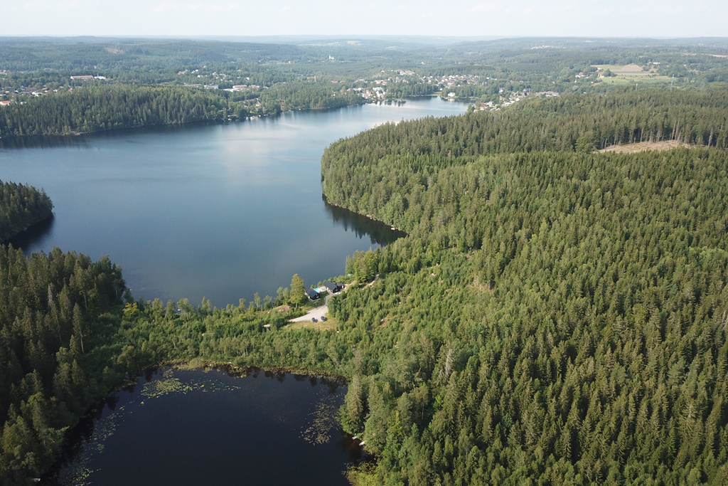 Stora & lilla Dalsjön