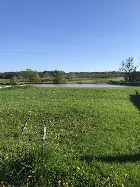 Närhet till golfbanan