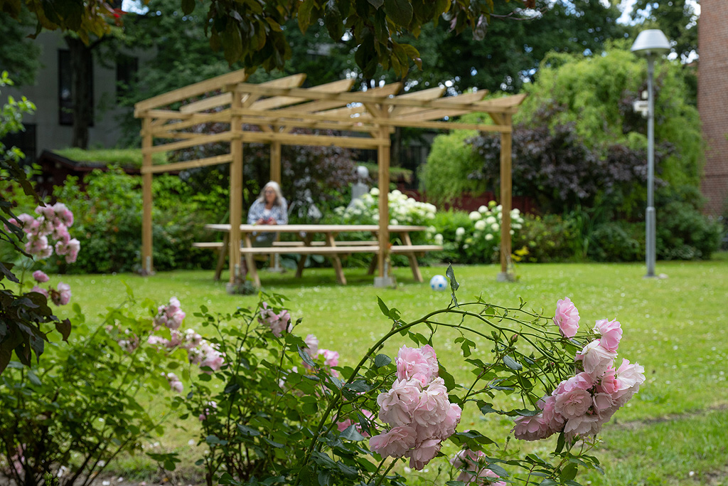Pergola