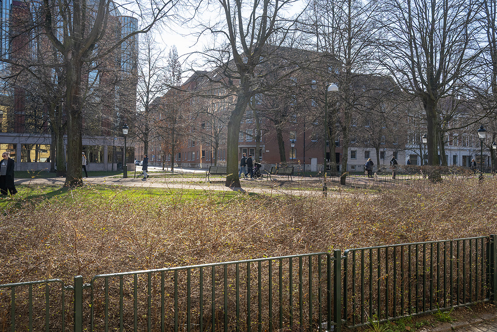 Granne med Kungsgatans allé