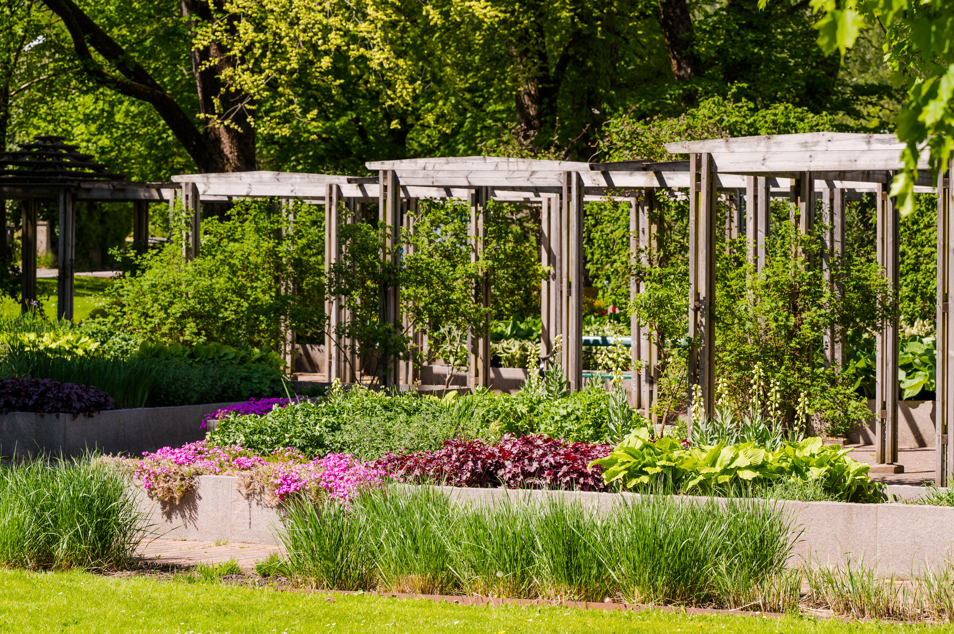 Ramnaparkens rosenträdgård