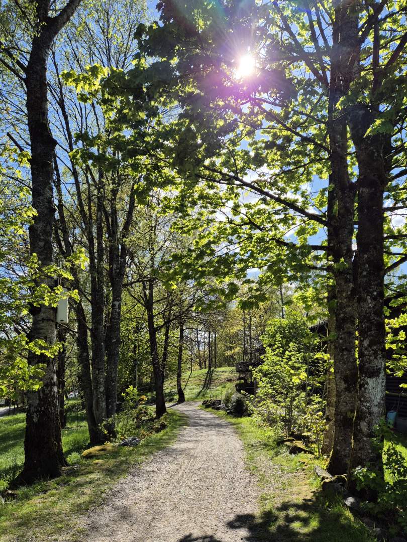 Hestras natursköna omgivningar