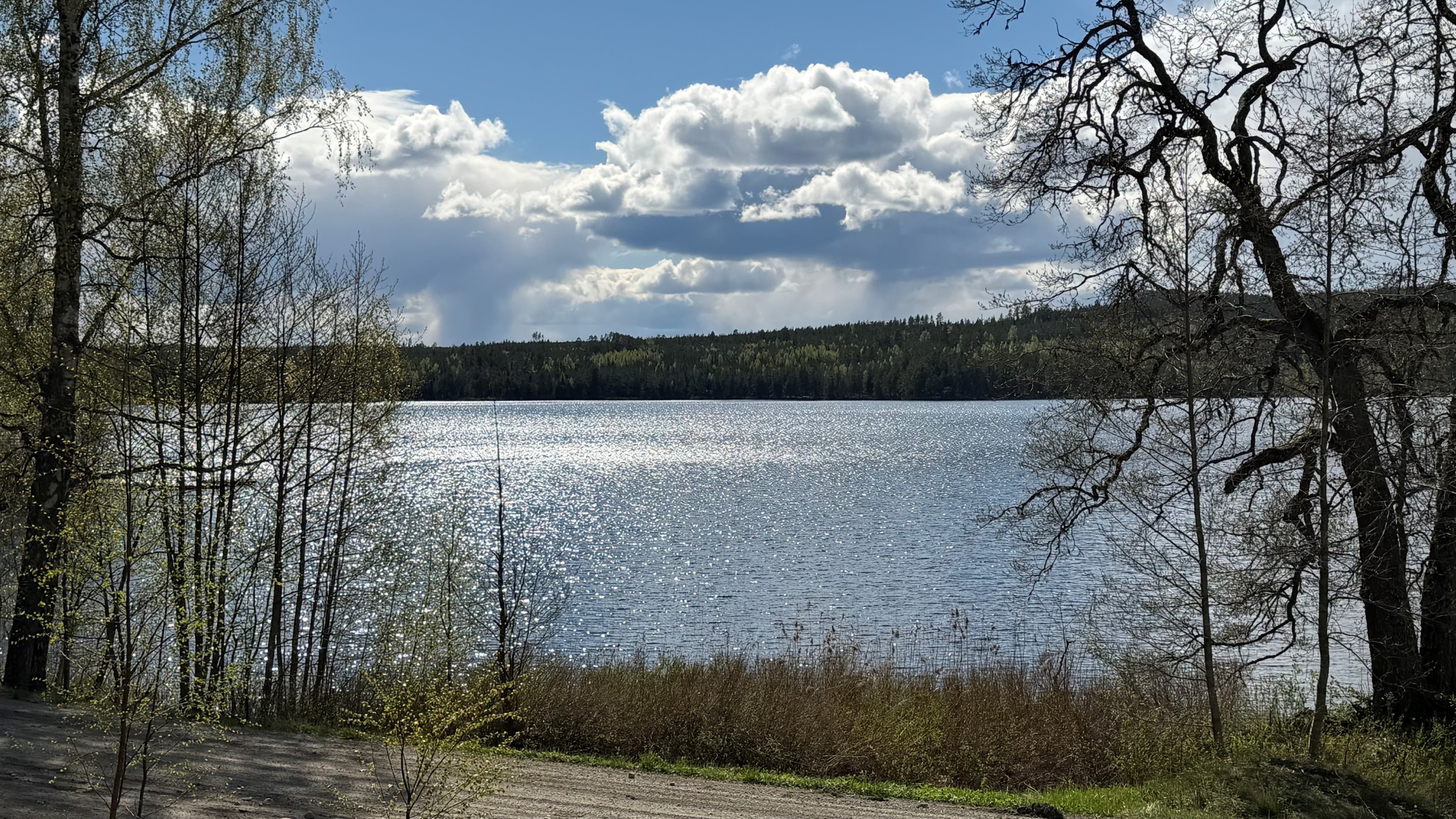 Vy ner mot sjön