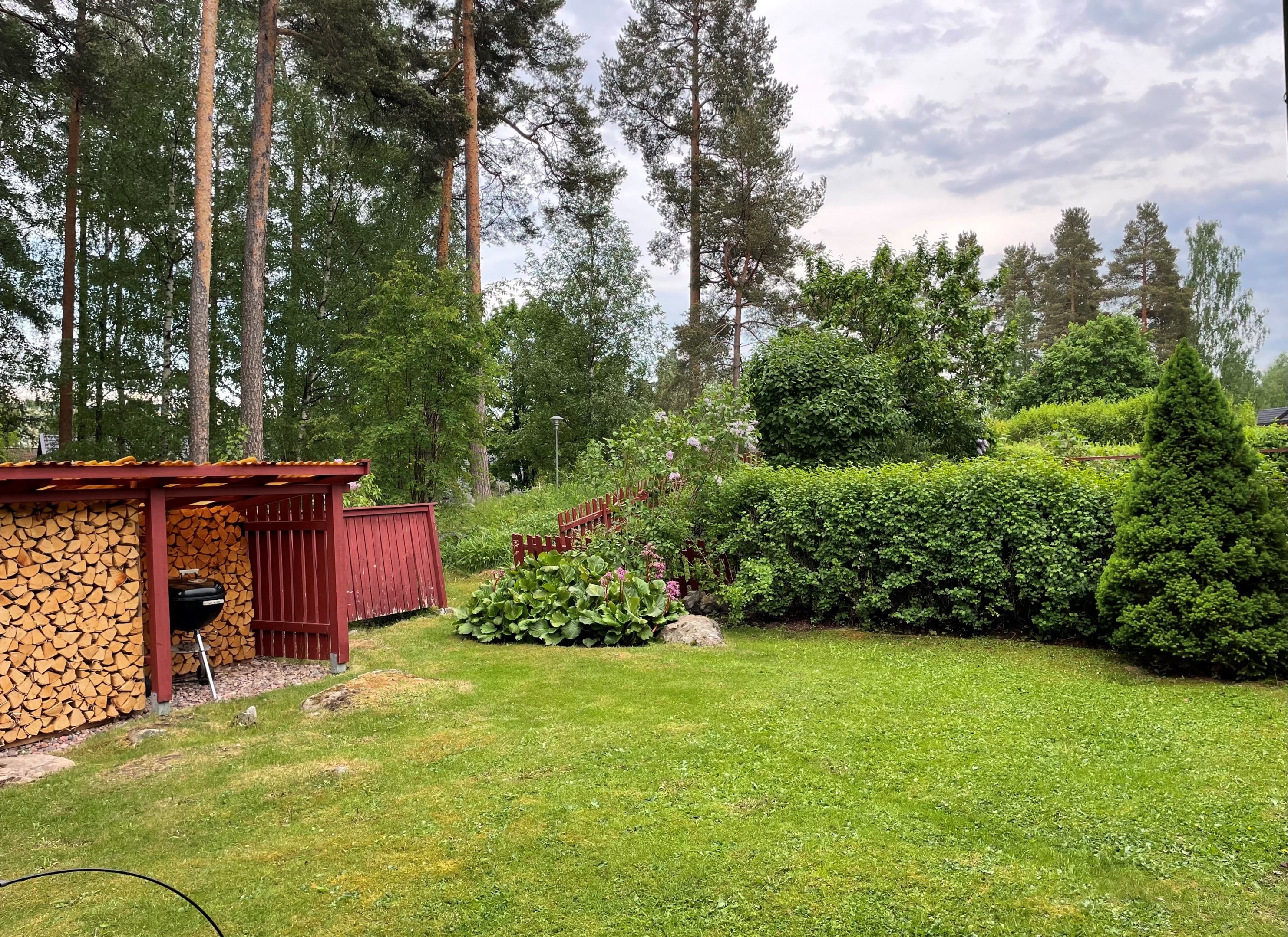 Gården mot skogspartiet