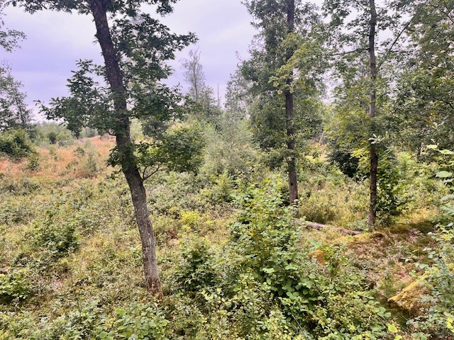 Sandövägen 138