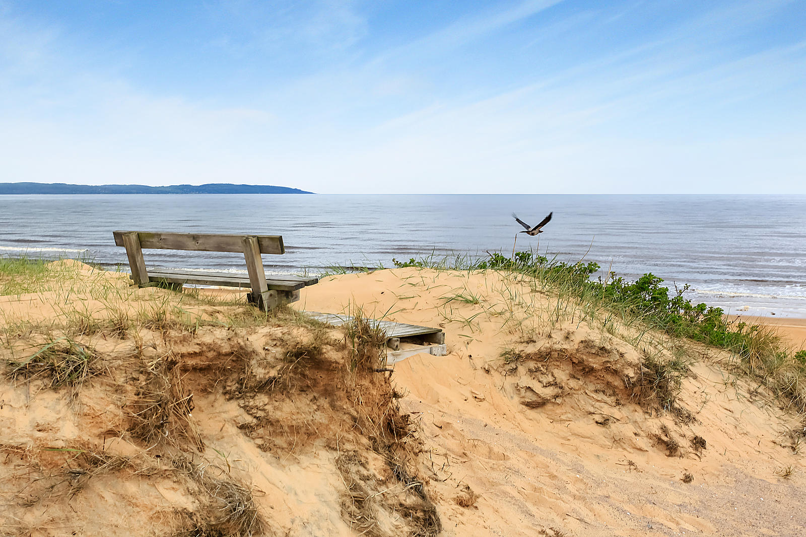 Stranden nära huset