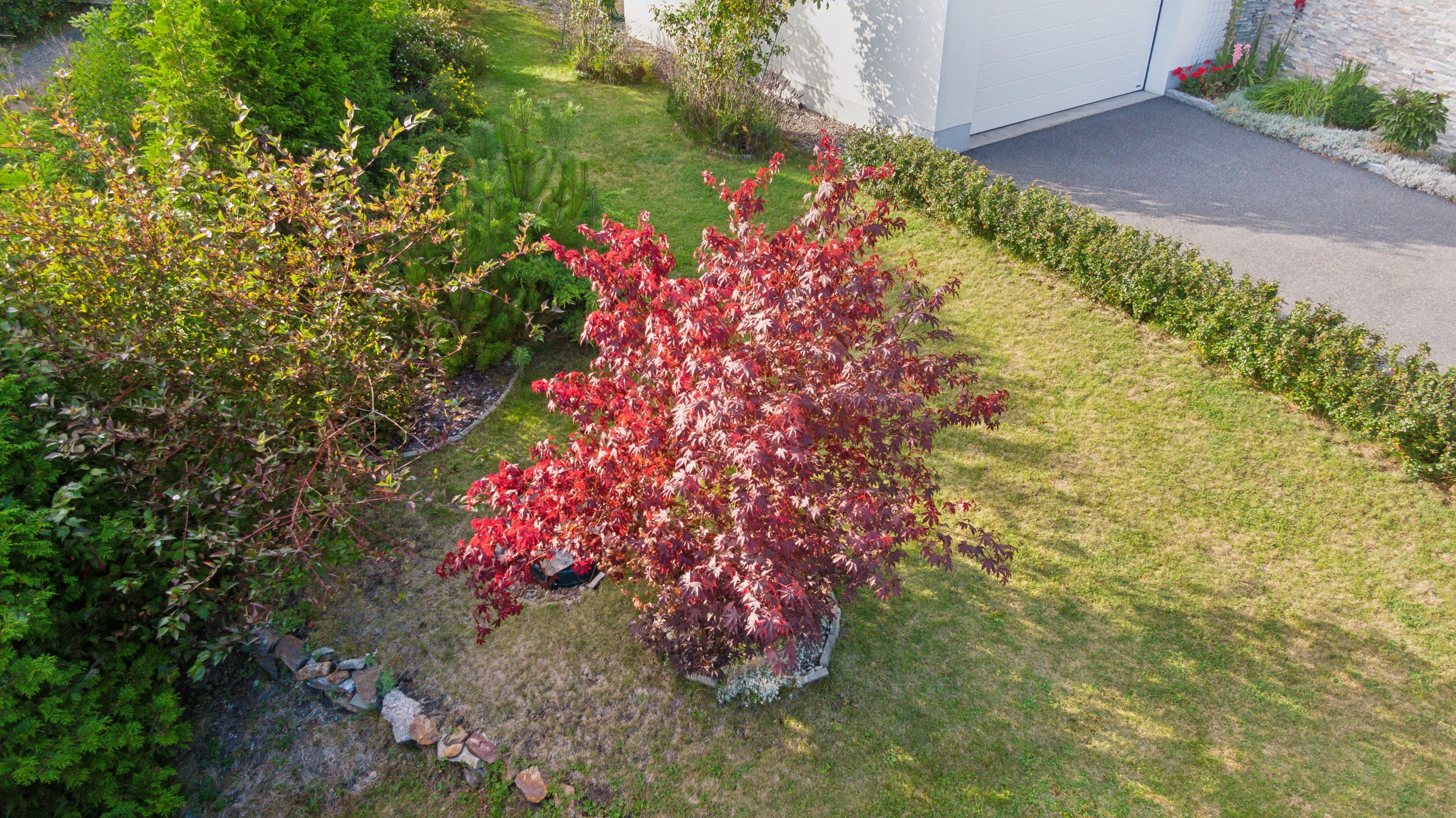 Tomten har fint uppväxt tomt