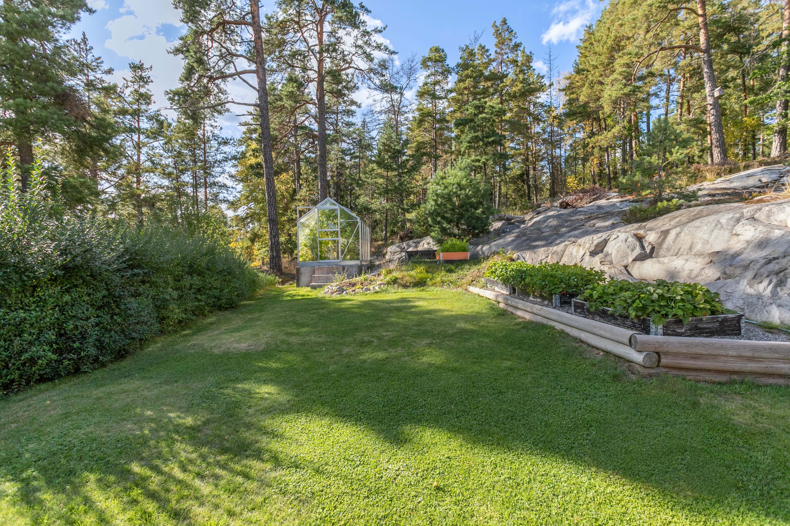 Bra gräsmatta för barnen att busa runt på