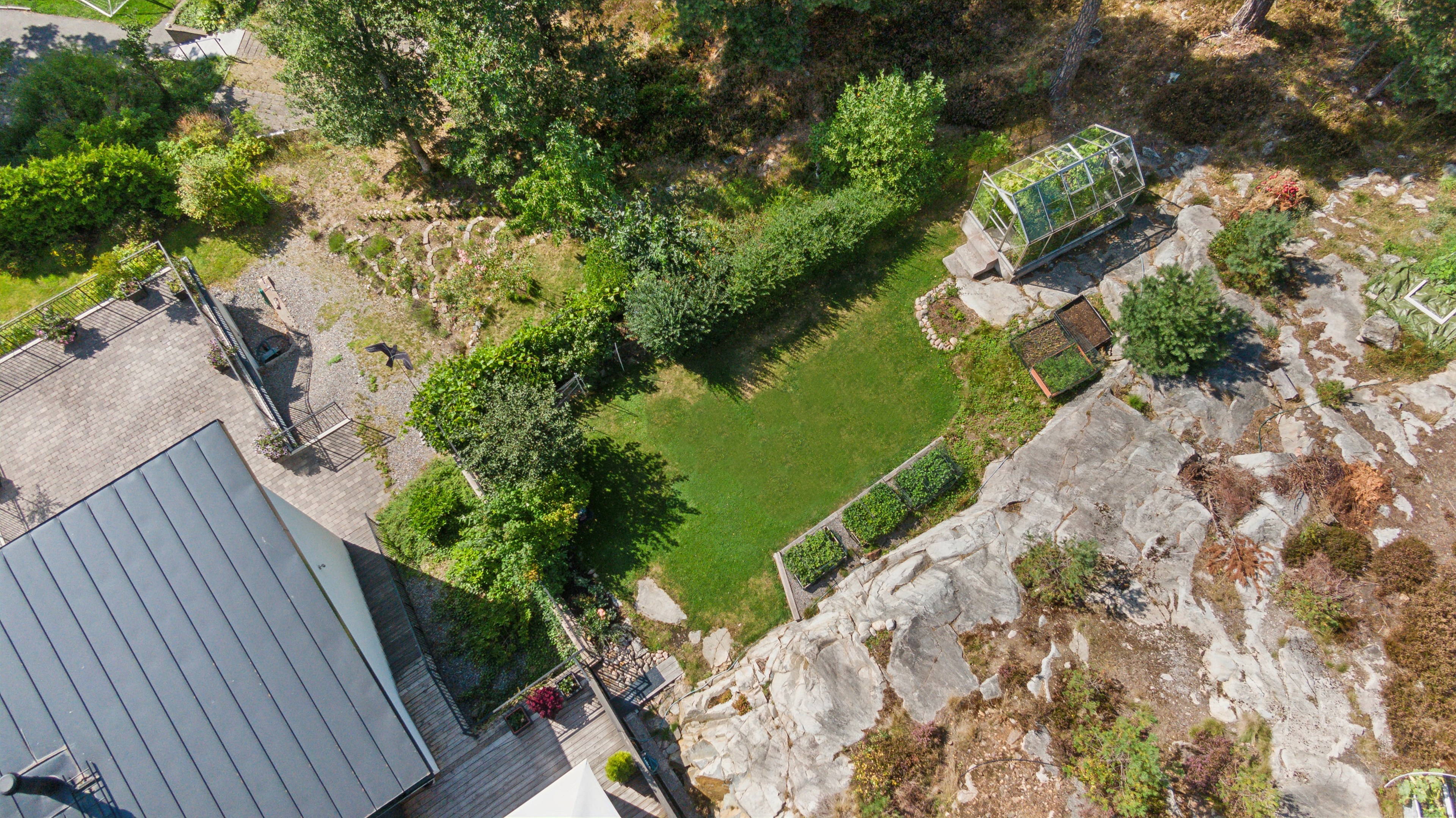 Gräsyta för lek och växthus