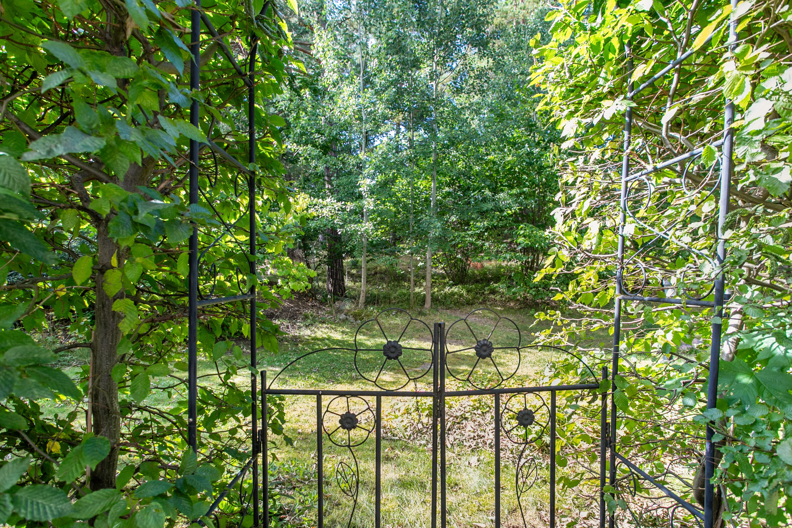 Grönskande natur precis utanför