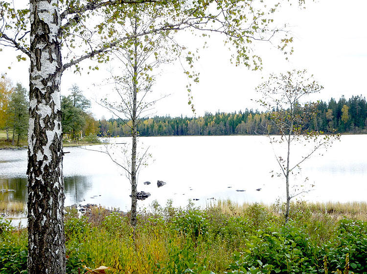 Sjön/See