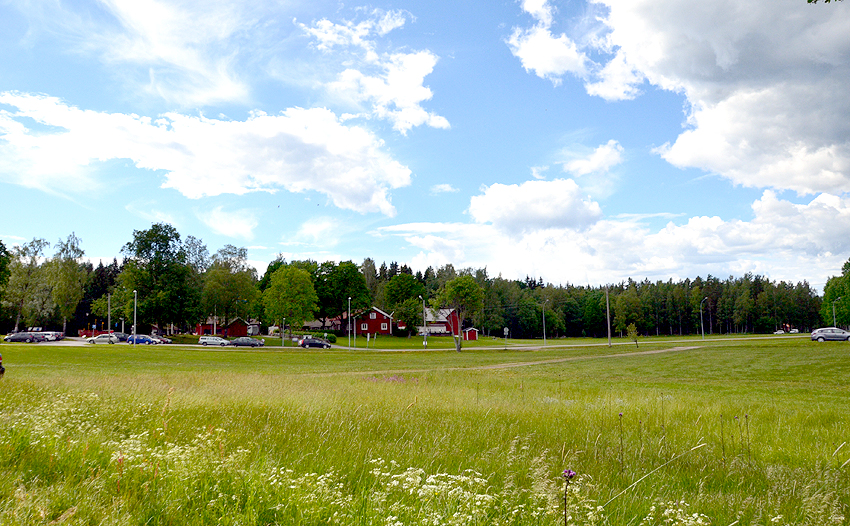 Omgivningen/Umgebung