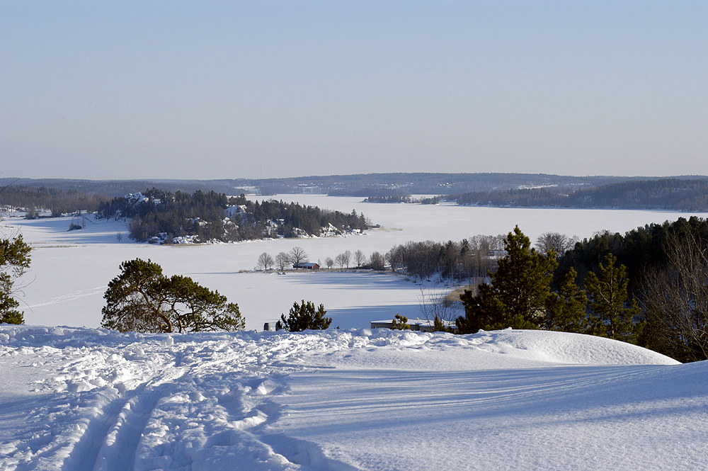 Omgivningen/Umgebung